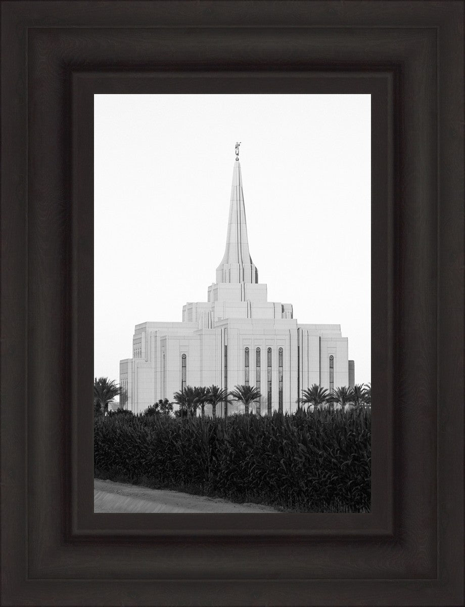 A Place of Peace Gilbert