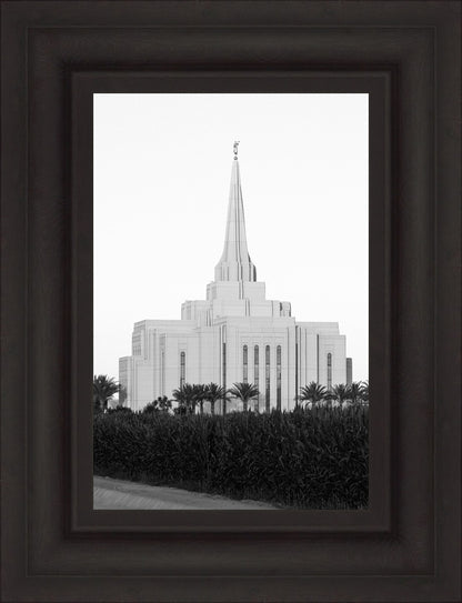 A Place of Peace Gilbert