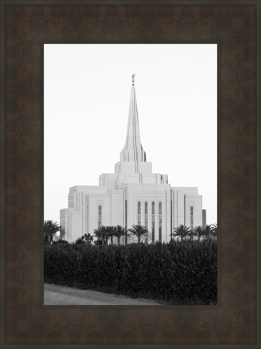 A Place of Peace Gilbert