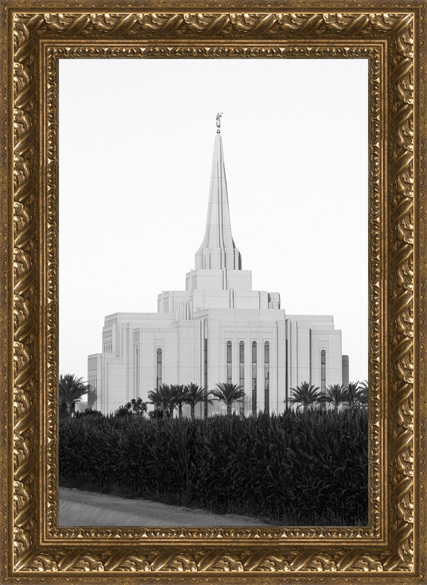 A Place of Peace Gilbert