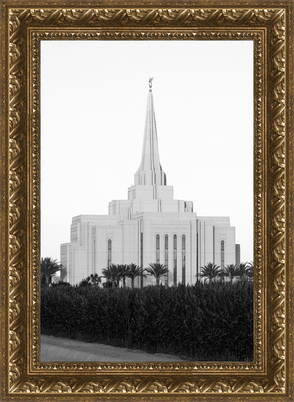 A Place of Peace Gilbert