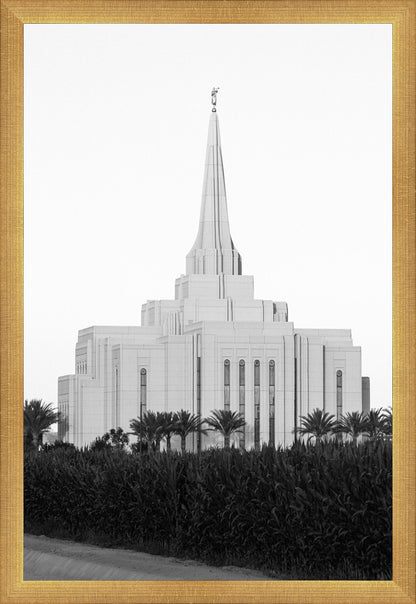 A Place of Peace Gilbert