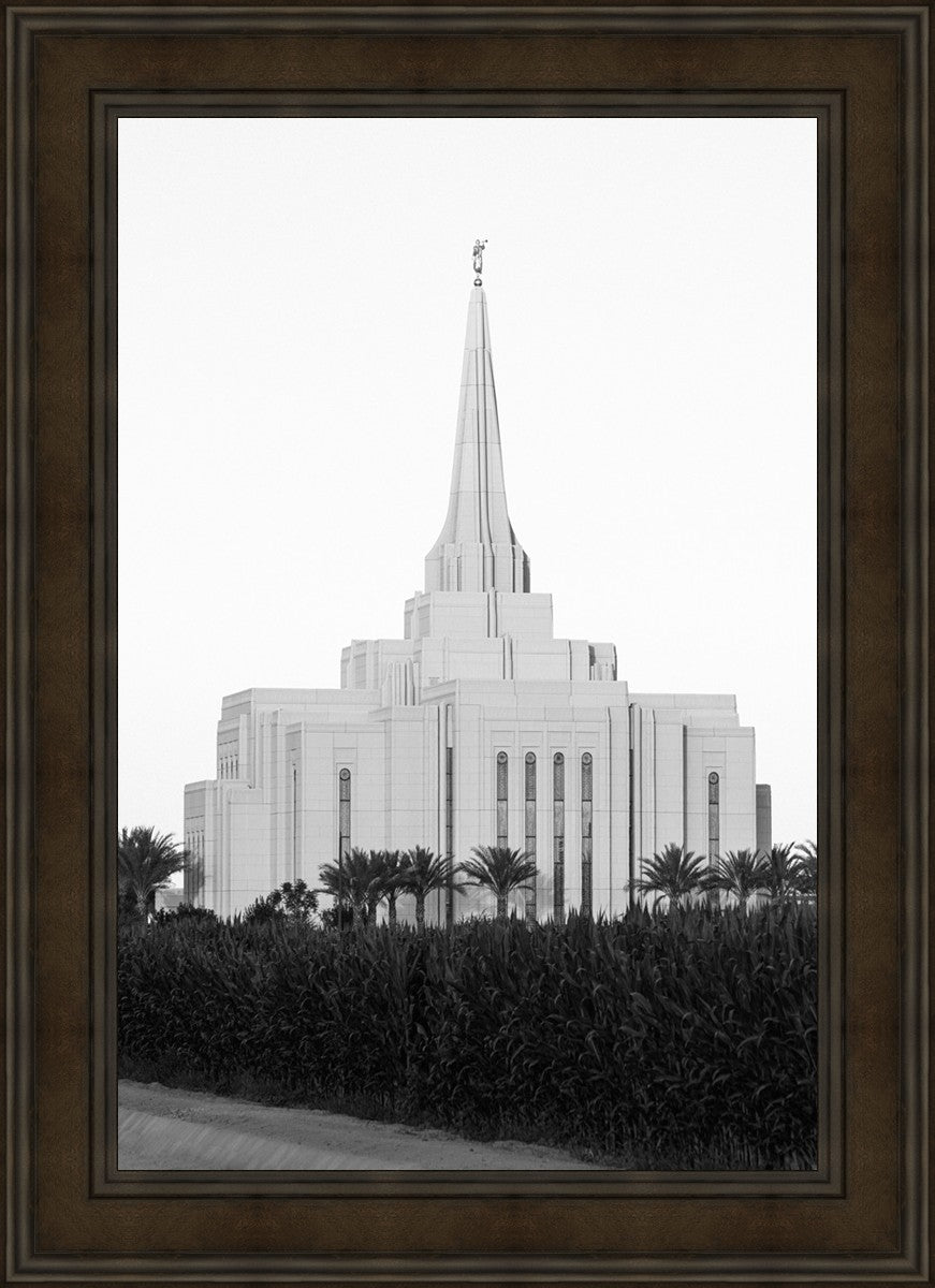 A Place of Peace Gilbert