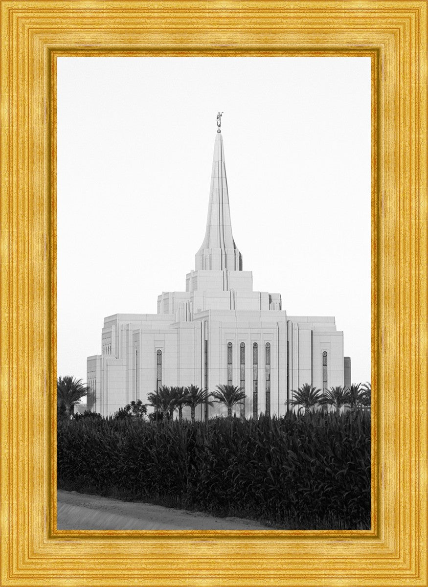 A Place of Peace Gilbert