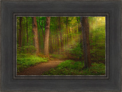 Sacred Grove Large Wall Art