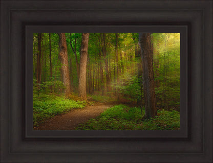 Sacred Grove Large Wall Art