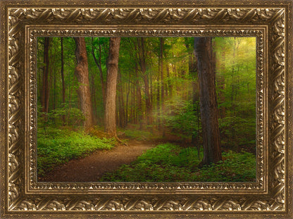 Sacred Grove Large Wall Art