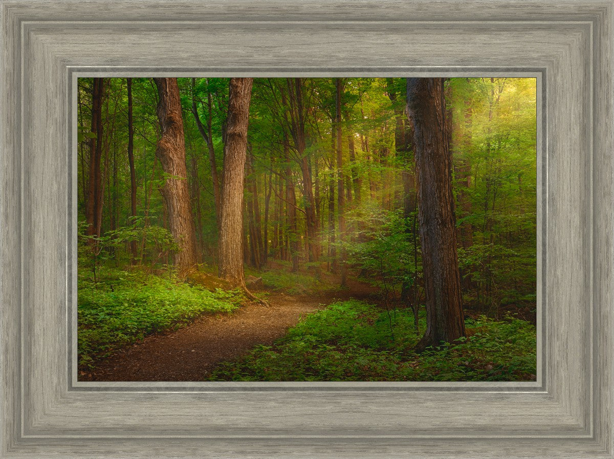 Sacred Grove Large Wall Art