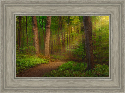 Sacred Grove Large Wall Art