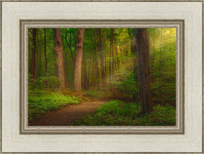 Sacred Grove Large Wall Art