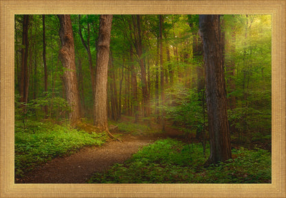 Sacred Grove Large Wall Art