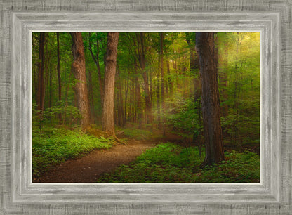 Sacred Grove Large Wall Art