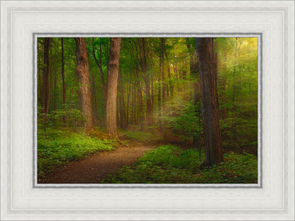 Sacred Grove Large Wall Art