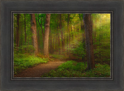 Sacred Grove Large Wall Art