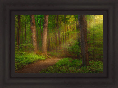 Sacred Grove Large Wall Art