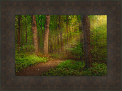 Sacred Grove Large Wall Art