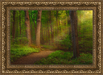 Sacred Grove Large Wall Art