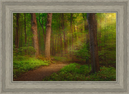 Sacred Grove Large Wall Art