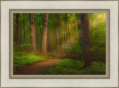 Sacred Grove Large Wall Art
