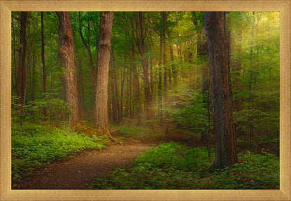 Sacred Grove Large Wall Art