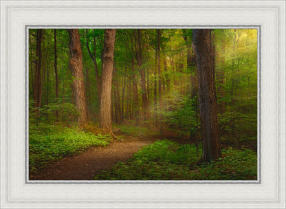 Sacred Grove Large Wall Art