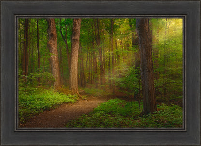 Sacred Grove Large Wall Art
