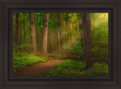 Sacred Grove Large Wall Art
