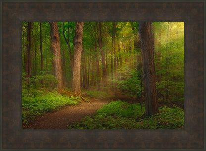 Sacred Grove Large Wall Art