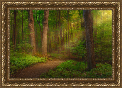 Sacred Grove Large Wall Art