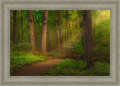 Sacred Grove Large Wall Art