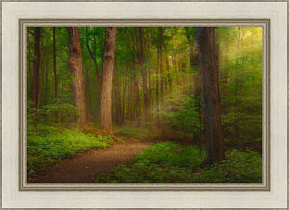 Sacred Grove Large Wall Art