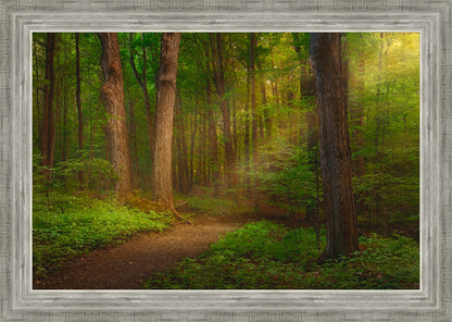 Sacred Grove Large Wall Art
