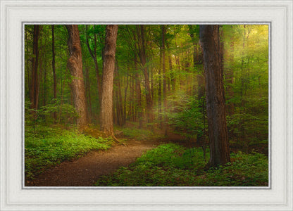 Sacred Grove Large Wall Art