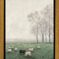 Back to the Fold