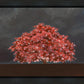 Tree of Life