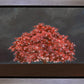 Tree of Life