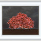Tree of Life