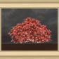 Tree of Life