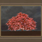 Tree of Life