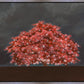 Tree of Life