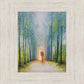 The Shepherd's Path