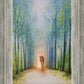 The Shepherd's Path