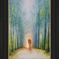 The Shepherd's Path
