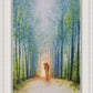 The Shepherd's Path