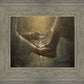 Christ the Servant