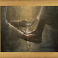 Christ the Servant
