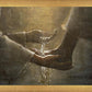 Christ the Servant