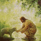 Gentle Shepherd