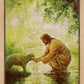 Gentle Shepherd