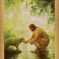 Gentle Shepherd